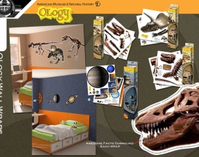 OLogy Wall Wraps